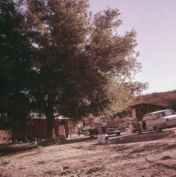 dighera_18