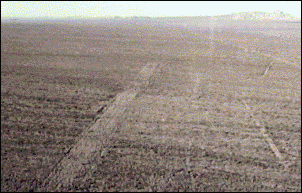 Camp Ibis Airstrip circa 2000